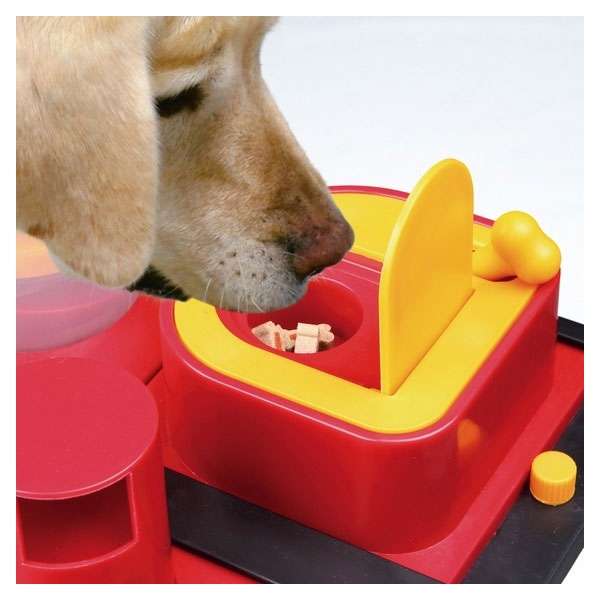 Trixie Dog Activity Poker Box 2