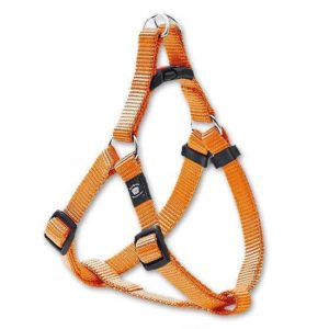 Karlie ASP Step&Go Geschirr - Orange - 15 mm, 41-58 cm