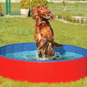 Karlie DOGGY POOL der Swimmingpool für Hunde - Rot-Blau - 160 cm